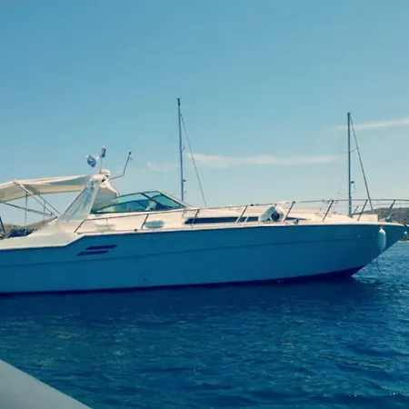 Botel Nuitee Sur Magnifique Vedette Roses